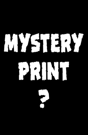 Mystery 11x17 Print